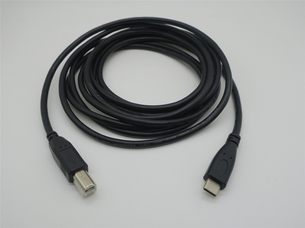 Type C data cable