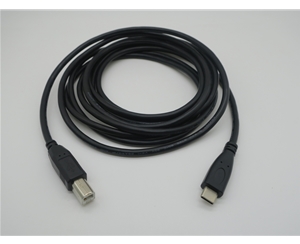 Type C data cable